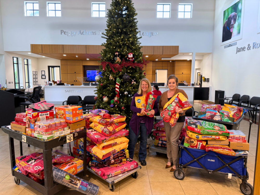 Peggy Adams Holiday Pet Drive