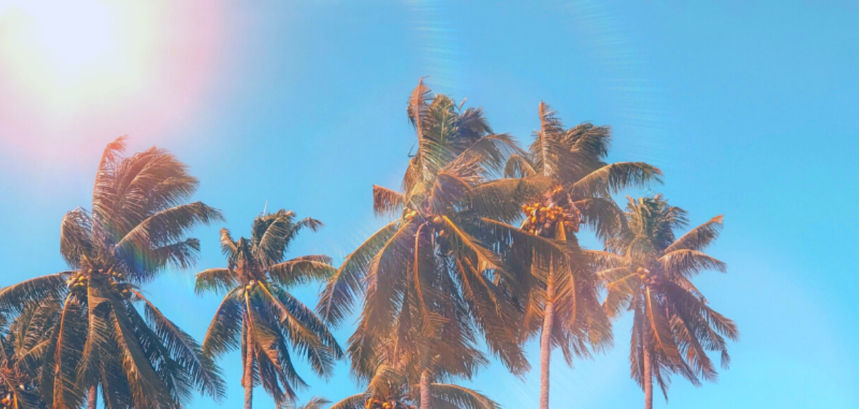 Header Delray Beach Practice Highlight