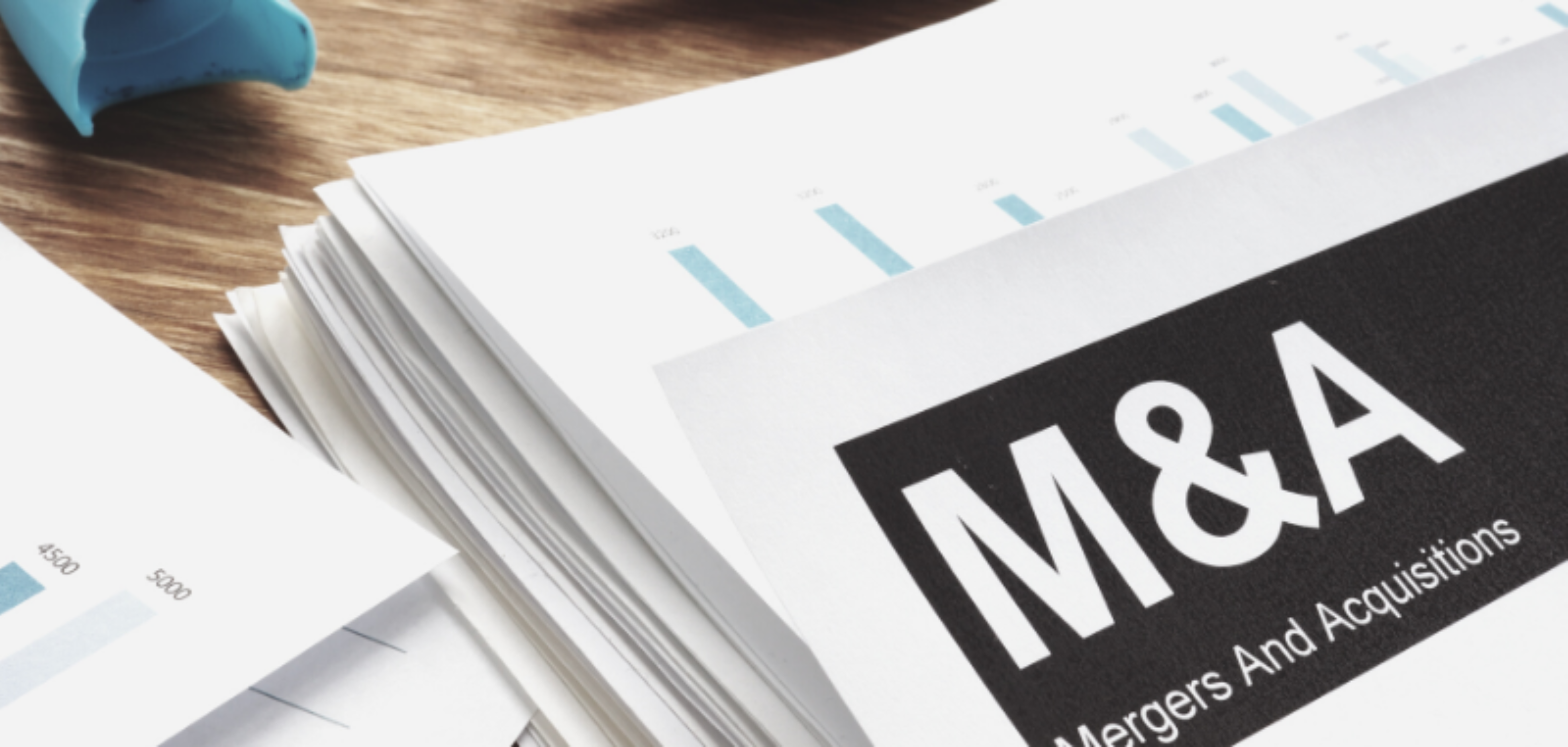 Header K Lamb MA Insight