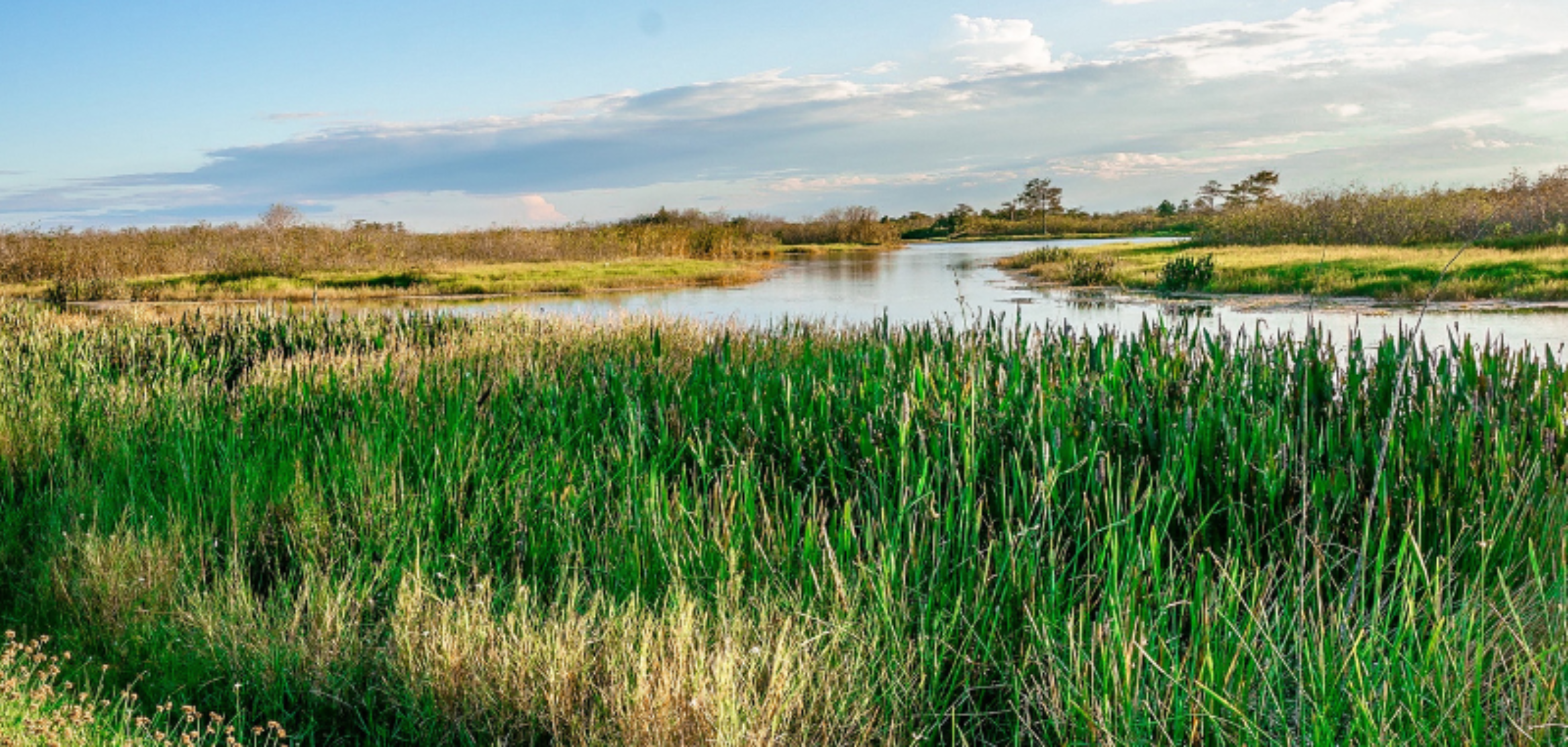 Web header Conservation Easement