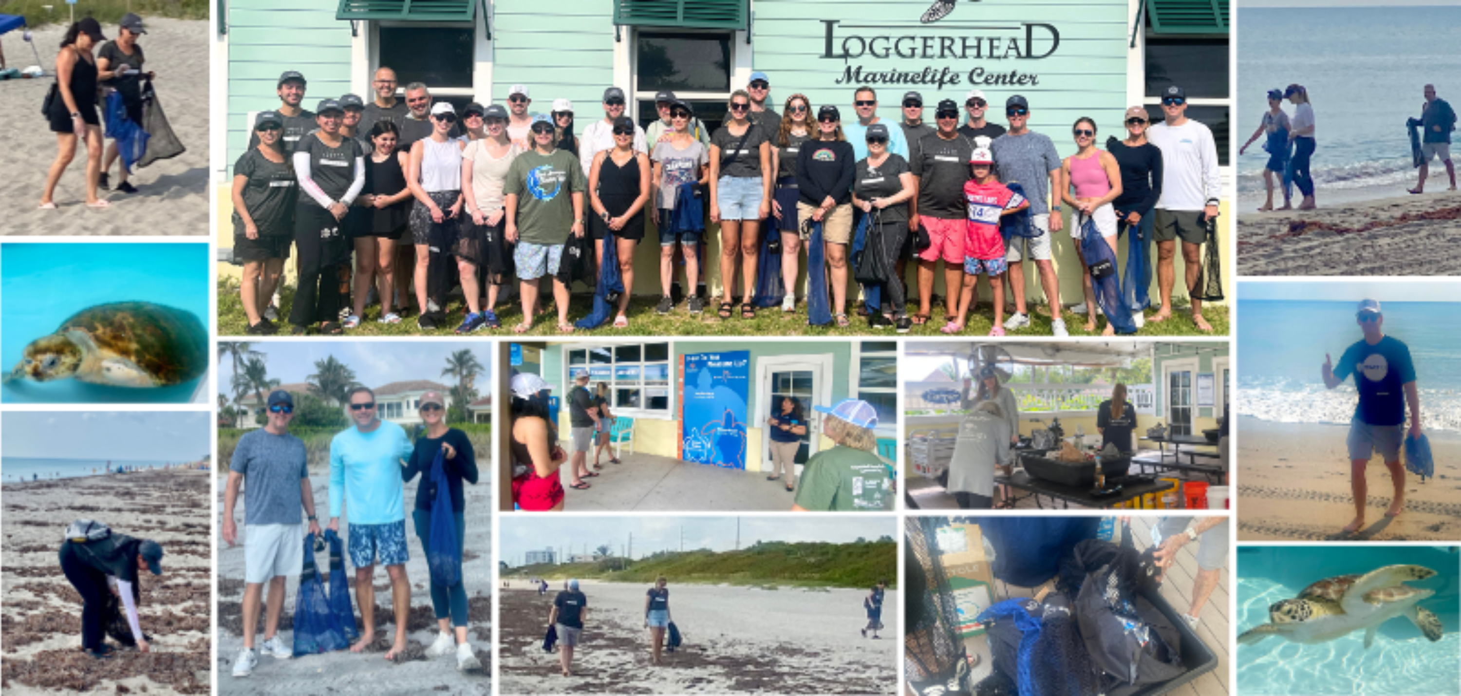 Web LMC Beach Cleanup 2024