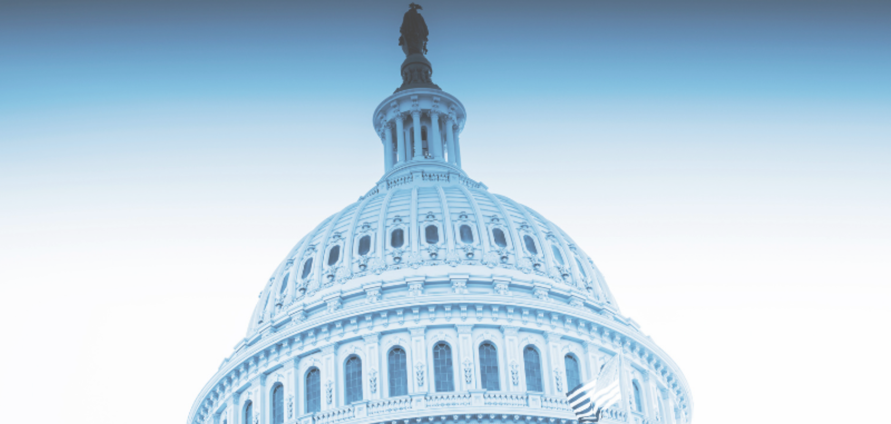 Website Header us capitol 2