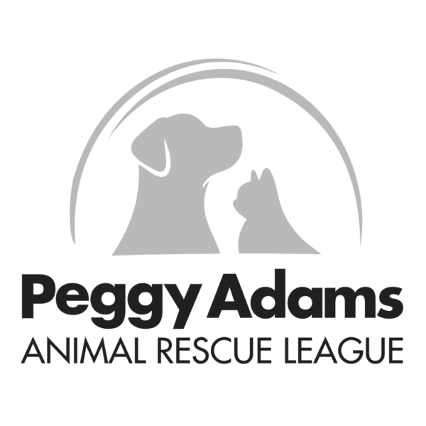 NEW PA logo grayscale