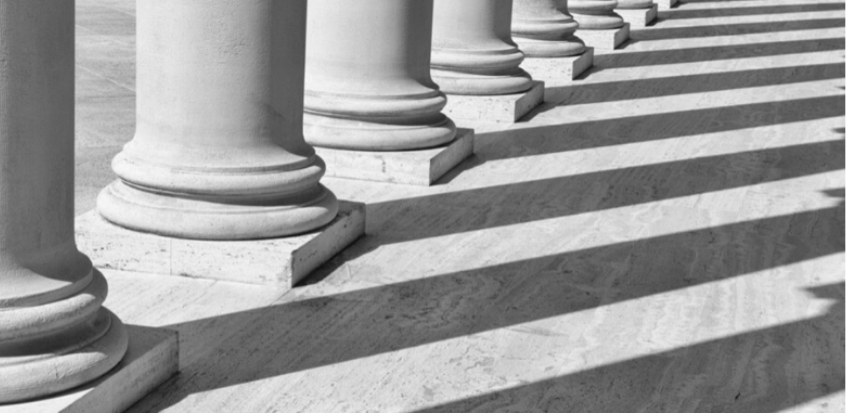 Bankruptcy page header