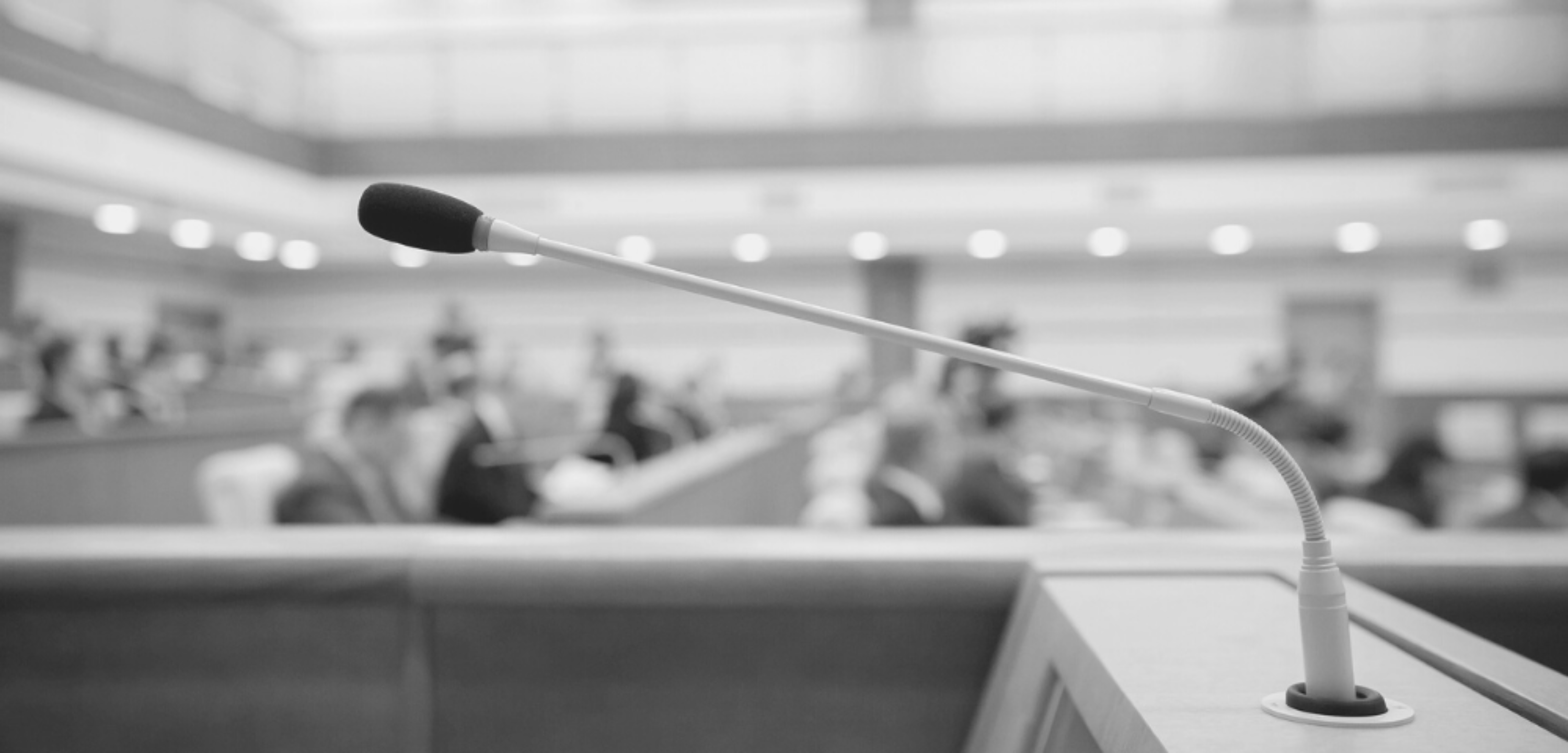 Government litigation header