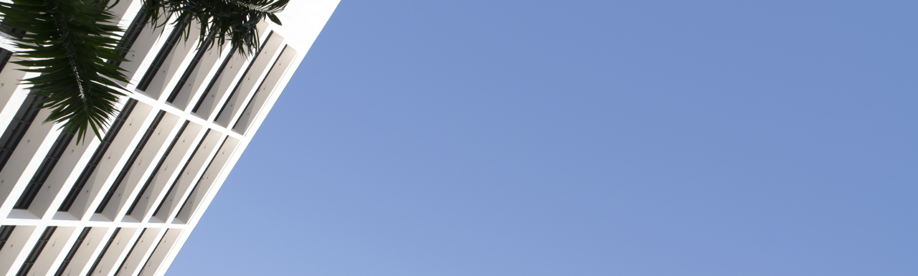 JF campaign 03 copy web